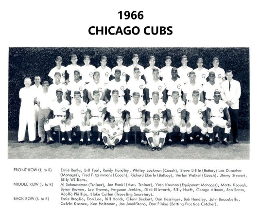 1966 Chicago Cubs Team Photo Baseball Picture Mlb