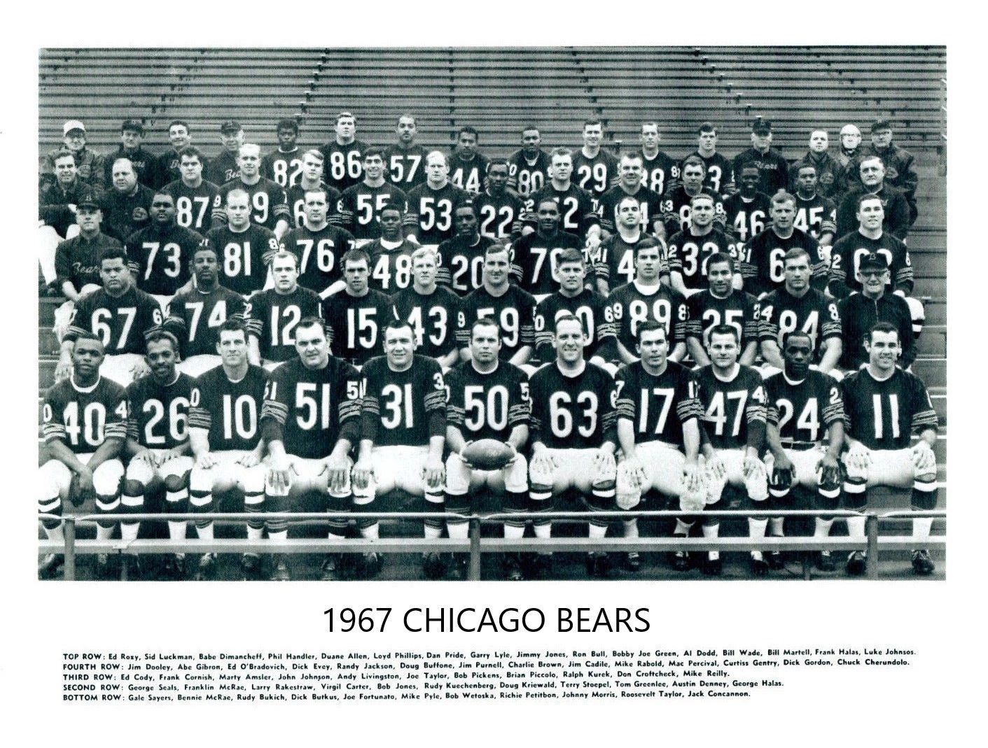 1967 Chicago Bears Team Photo Football Nfl Picture