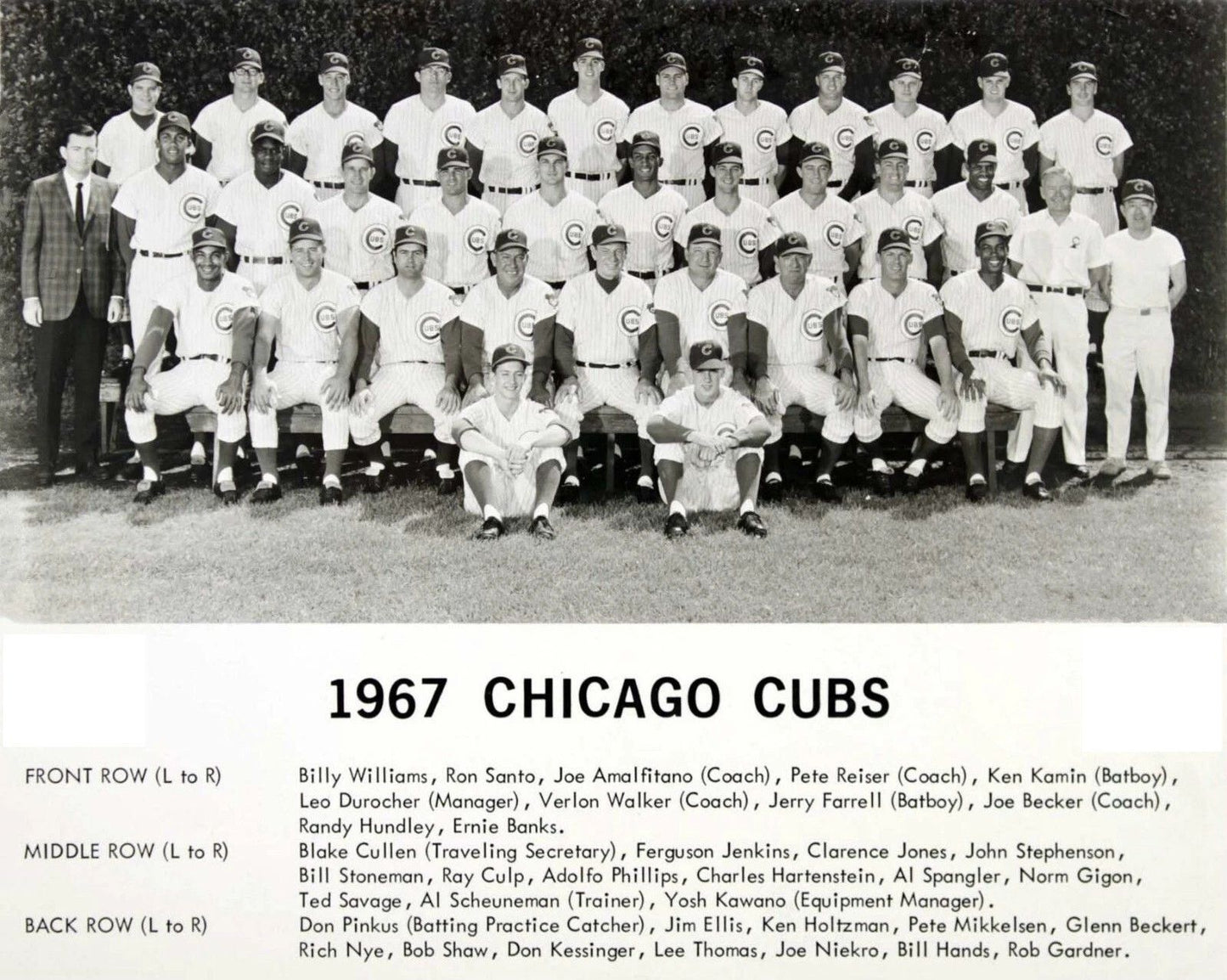 1967 Chicago Cubs Team Photo Baseball Picture Mlb 300 Piece Jigsaw Puzzle