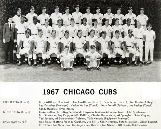 1967 Chicago Cubs Team Photo Baseball Picture Mlb 300 Piece Jigsaw Puzzle
