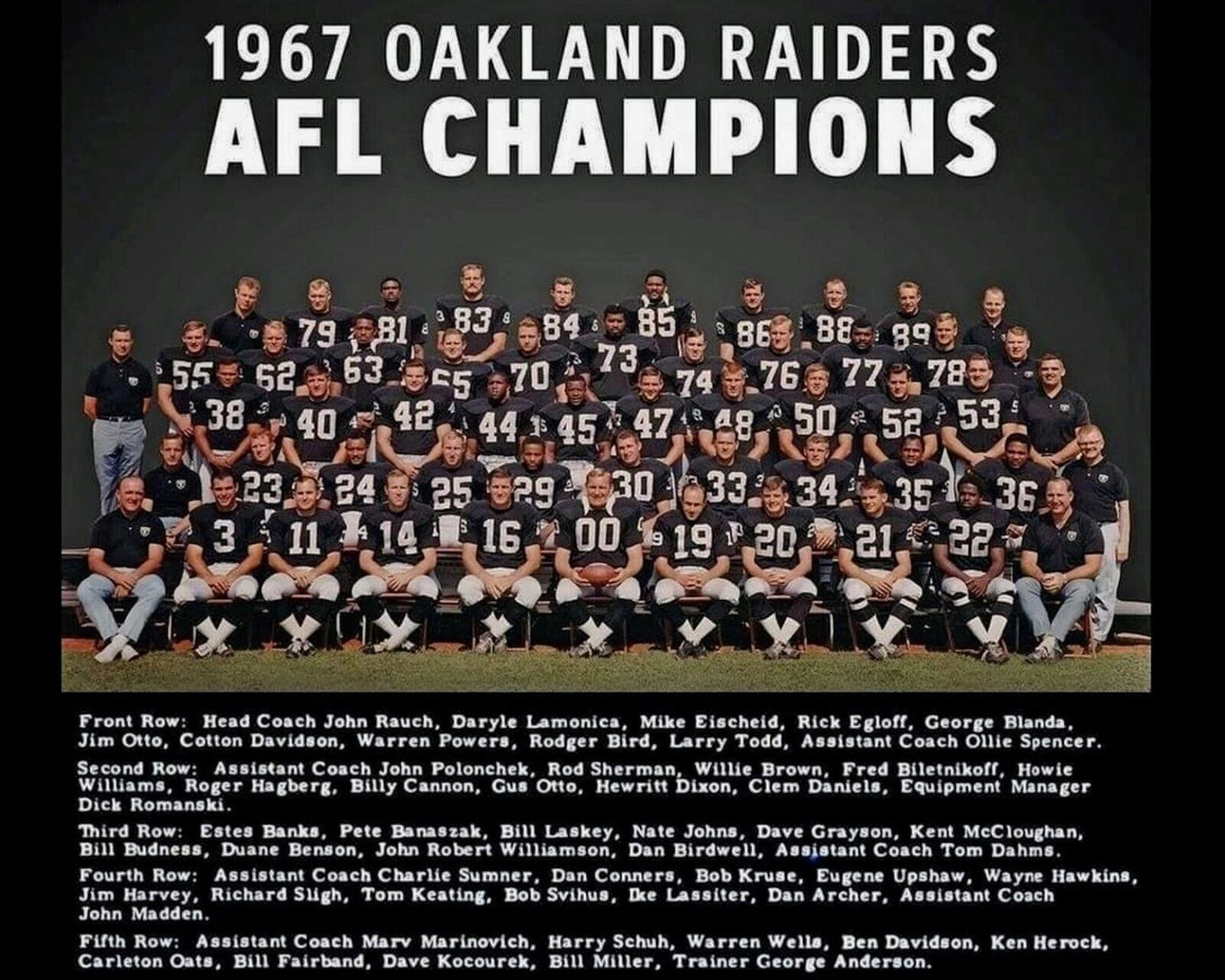 1967 Oakland Raiders Team Photo Football Afl Champs 300 Piece Jigsaw Puzzle