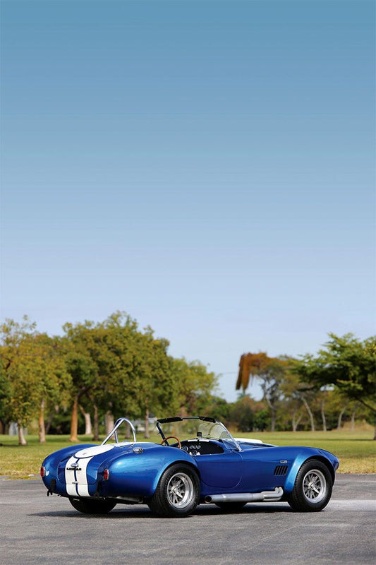 1967 Shelby Cobra 427 Sports Muscle Car Art Home Magnet