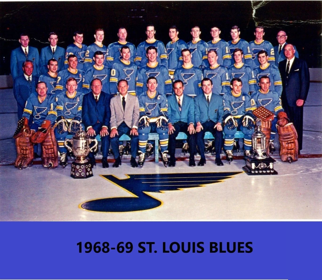 69 St. Louis Blues Team Magnet Hockey Picture Nhl