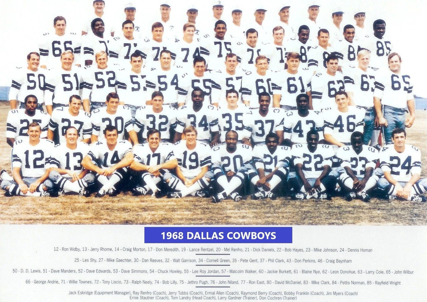 1968 Dallas Cowboys Team Photo Football Picture Nfl 300 Piece Jigsaw Puzzle