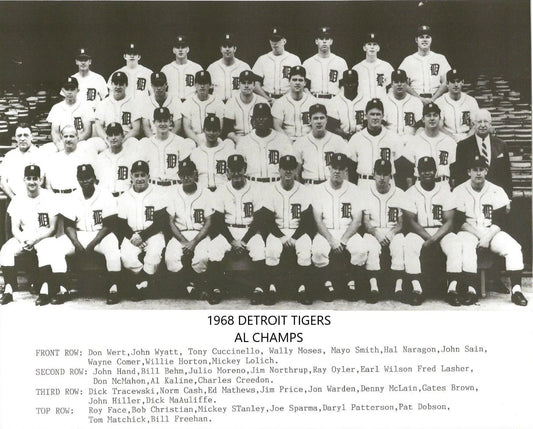1968 Detroit Tigers Team Photo Baseball Al Champs Mlb 300 Piece Jigsaw Puzzle