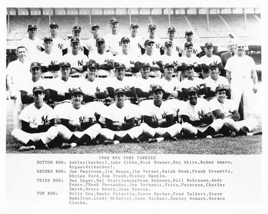 1968 New York Yankees Team Photo Baseball Mlb Picture Ny 300 Piece Jigsaw Puzzle