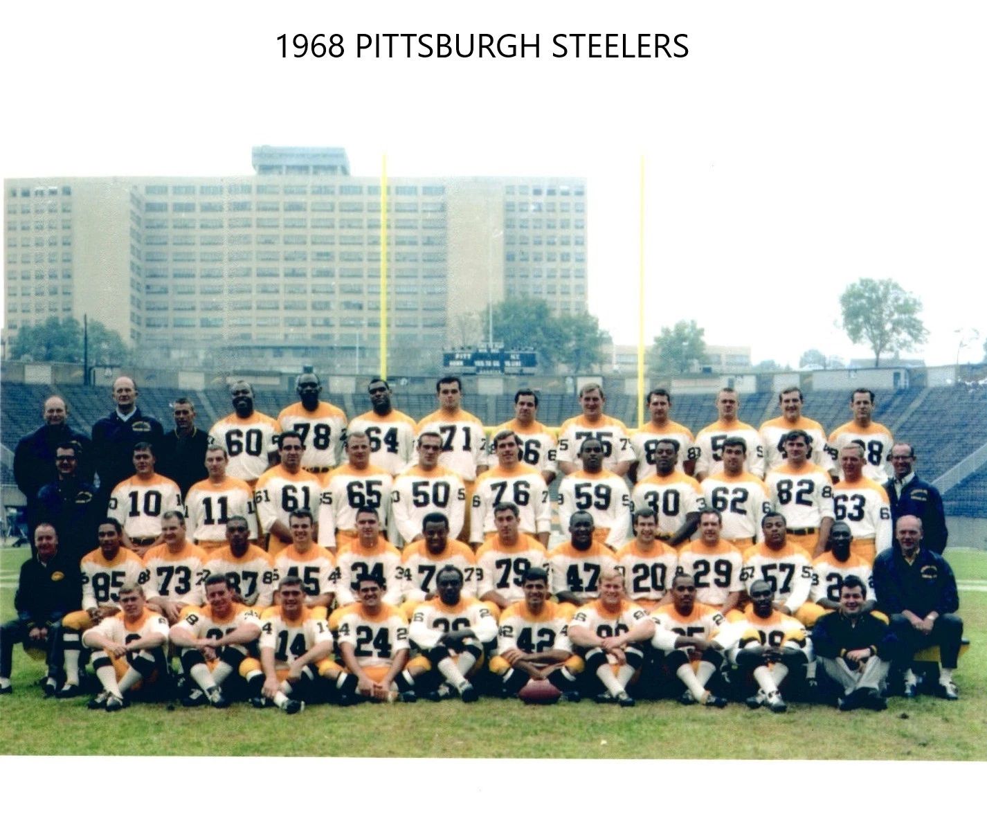 1968 Pittsburgh Steelers Team Photo Nfl Football Picture