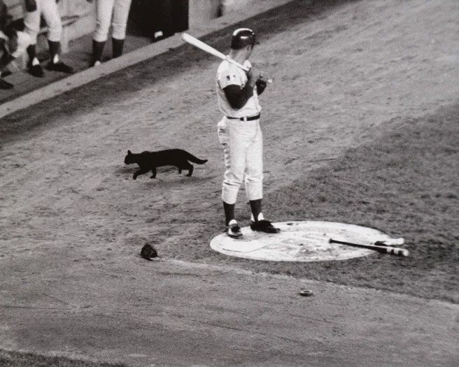 1969 Chicago Cubs Ron Santo Glossy Keychain 'Black Cat On Deck' Keychain