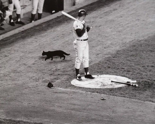 1969 Chicago Cubs Ron Santo Glossy Keychain 'Black Cat On Deck' Keychain