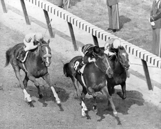1969 Kentucky Derby Winner Majestic Prince Glossy Photo Churchill Downs