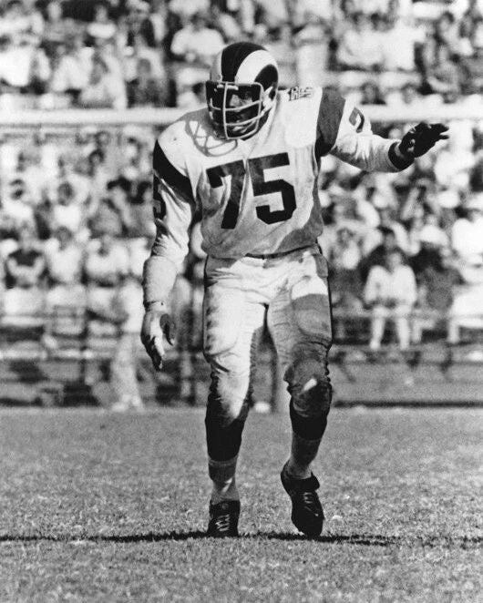 1969 Los Angeles Rams Deacon Jones Glossy Magnet Magnet Hof 80