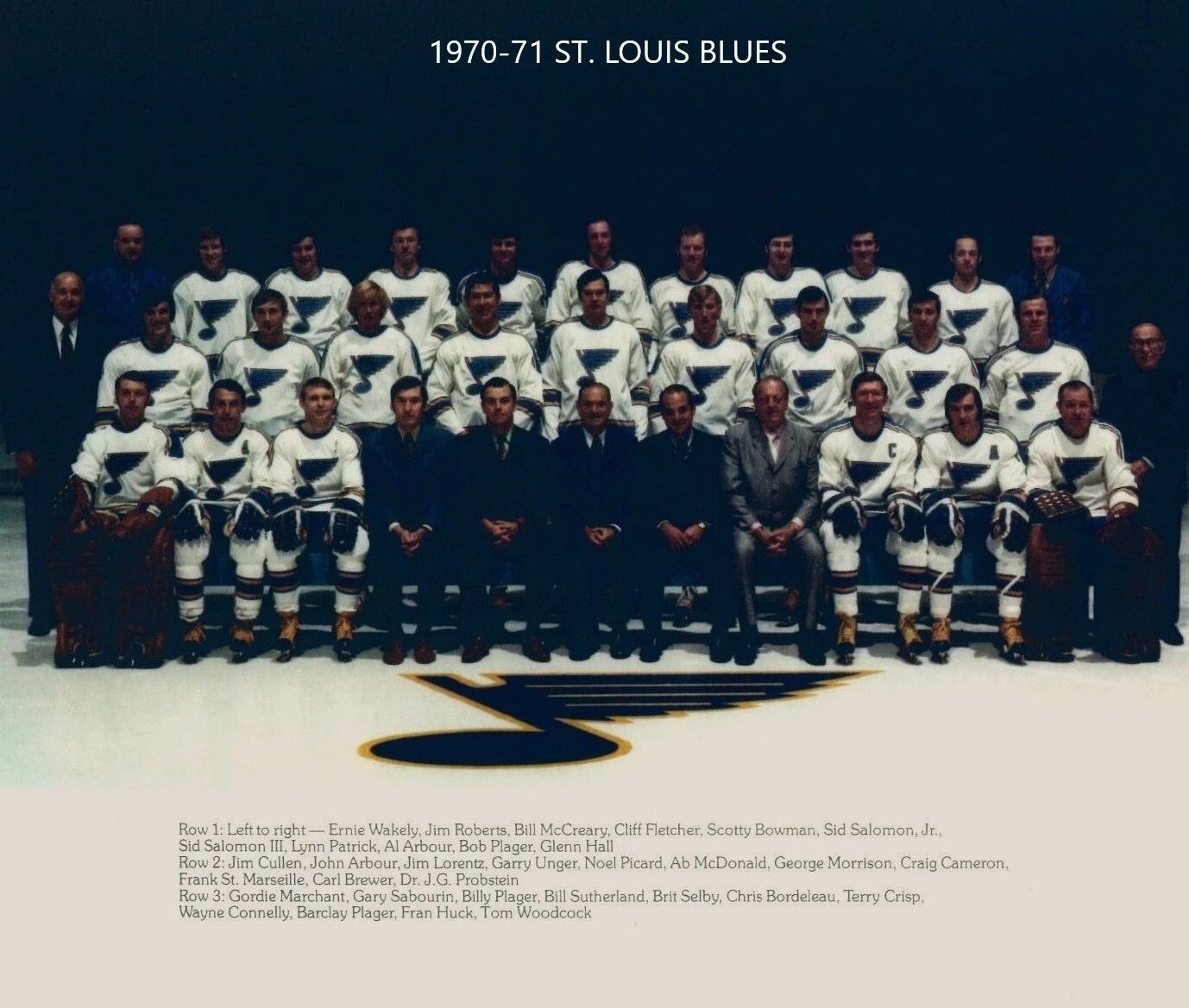 71 St. Louis Blues Team Magnet Hockey Picture Nhl