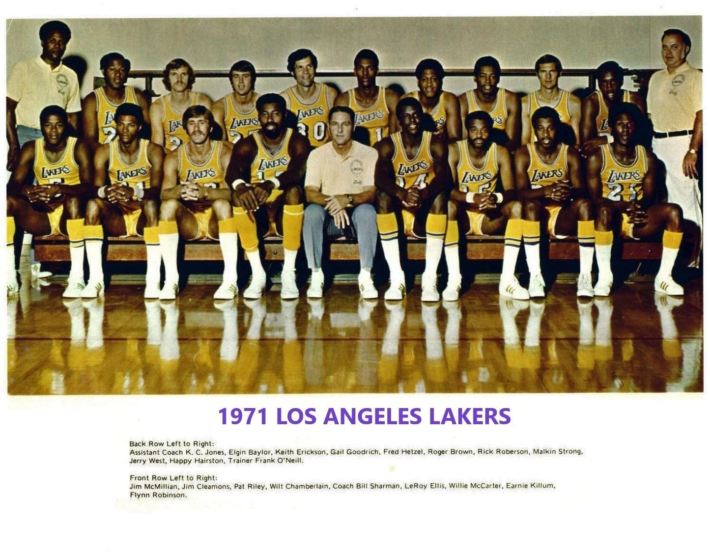 72 Los Angeles Lakers Team Keychain Basketball Picture Nba La