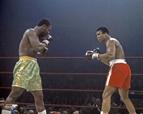 1971 Joe Frazier Vs Muhammad Ali Glossy Magnet Heavyweight Boxers Print 2