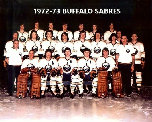 73 Buffalo Sabres Team Magnet Hockey Picture Nhl
