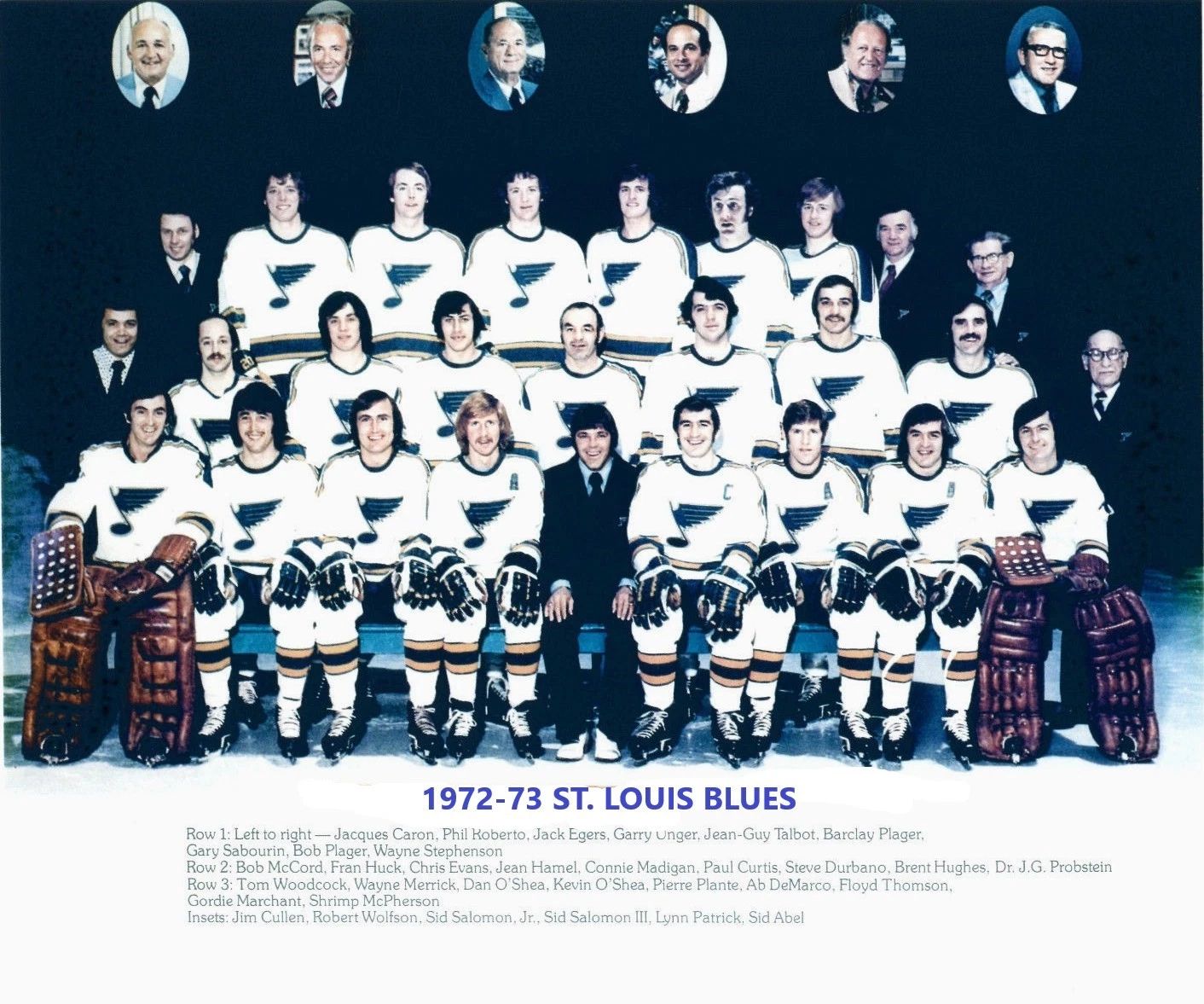 73 St. Louis Blues Team Magnet Hockey Picture Nhl