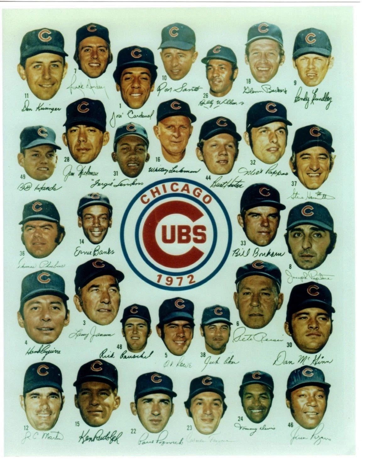 1972 Chicago Cubs Team Photo Baseball Mlb Picture