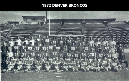 1972 Denver Broncos Team Photo Picture Nfl Football 300 Piece Jigsaw Puzzle