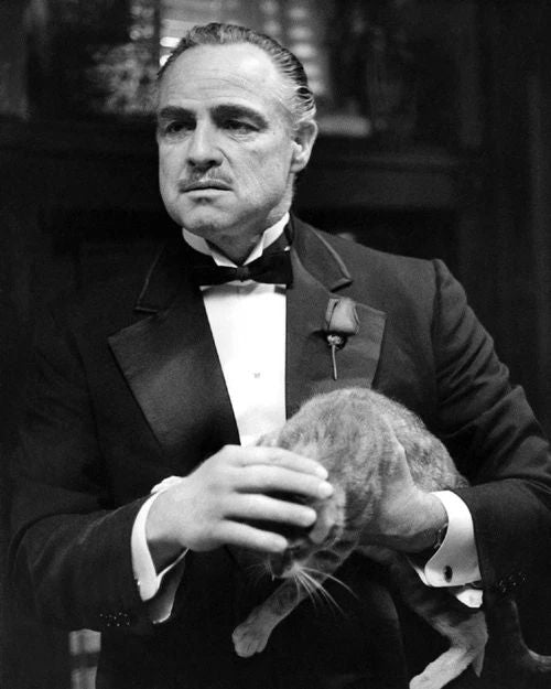 1972 The Godfather Marlon Brando Glossy Keychain Print Mobster Movie Keychain 1