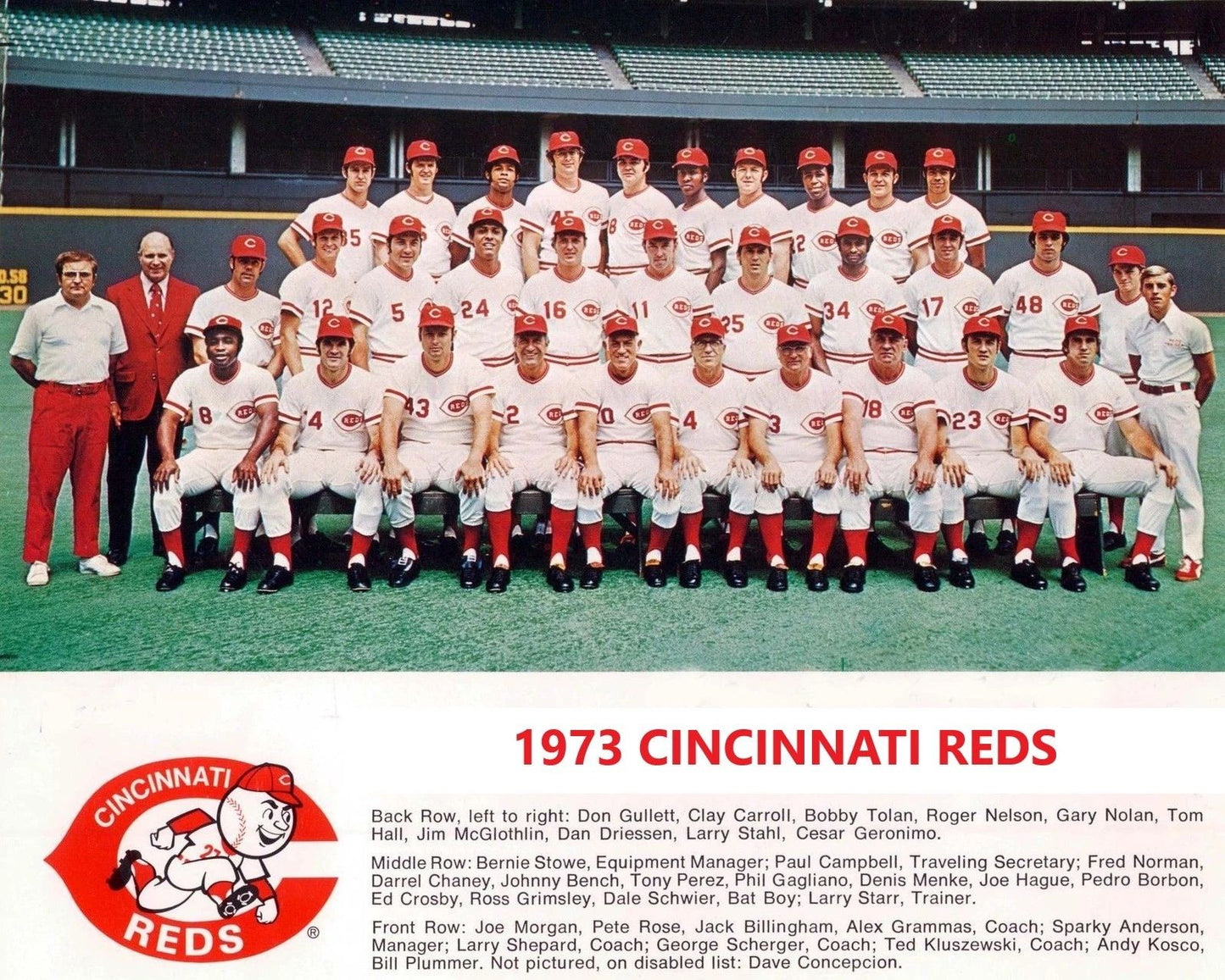 1973 Cincinnati Reds Team Photo Baseball Mlb Picture 300 Piece Jigsaw Puzzle