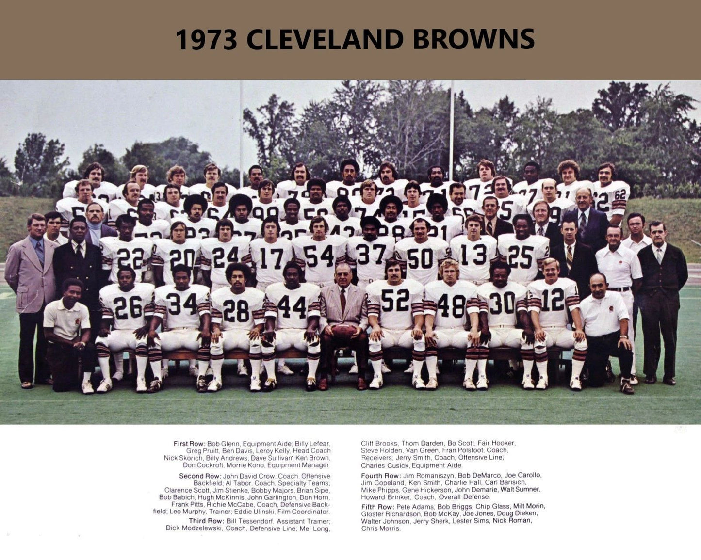 1973 Cleveland Browns Team Photo Football Picture Nfl