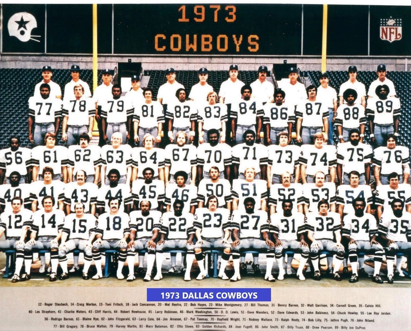 1973 Dallas Cowboys Team Photo Football Picture Nfl