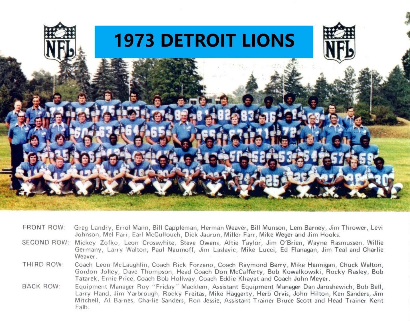 1973 Detroit Lions Team Photo Football Nfl Picture 300 Piece Jigsaw Puzzle