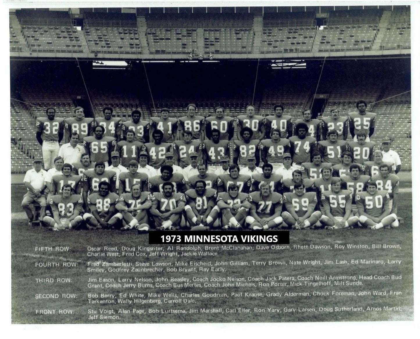 1973 Minnesota Vikings Team Photo Football Nfl Picture 300 Piece Jigsaw Puzzle