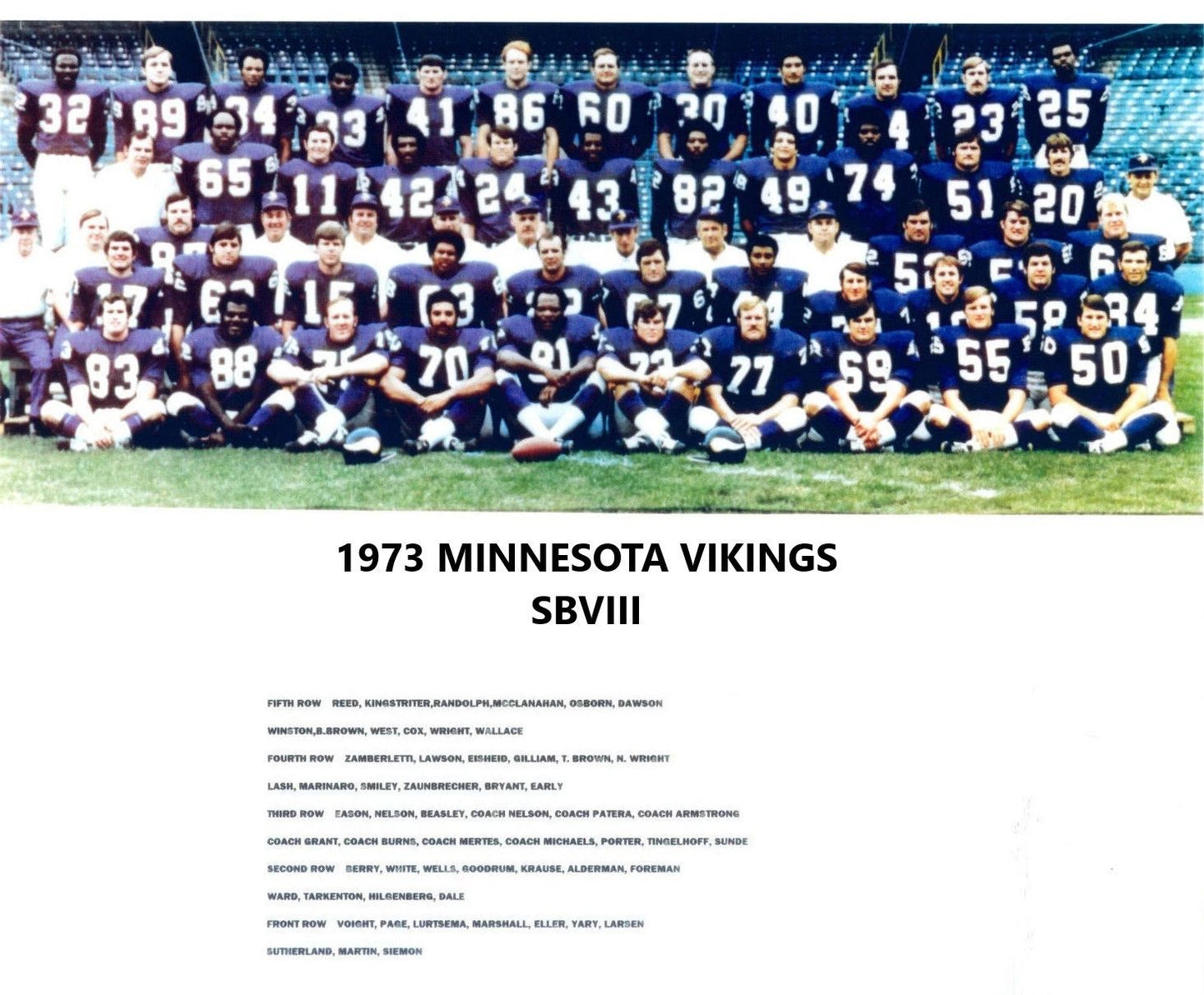 1973 Minnesota Vikings Team Keychain Football Nfl Picture Sbviii
