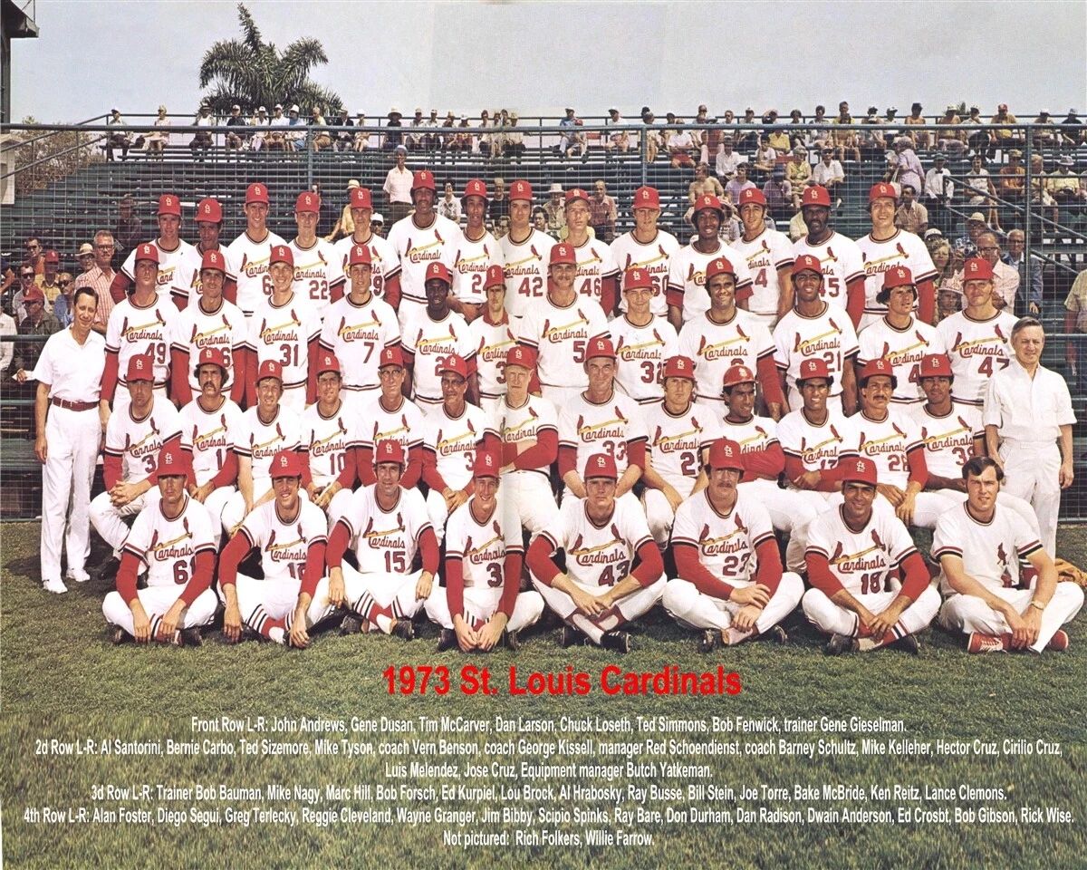1973 St. Louis Cardinals Team Photo Baseball Picture Mlb