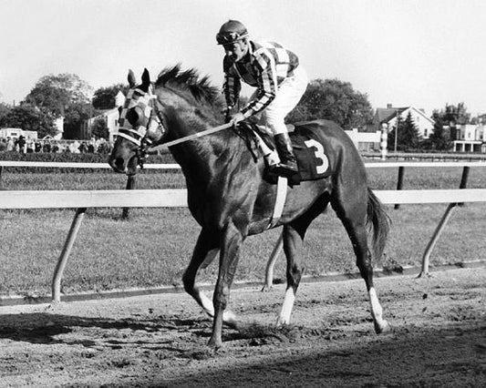 1973 Triple Crown Horse Secretariat Glossy Keychain Print Racehorse Keychain
