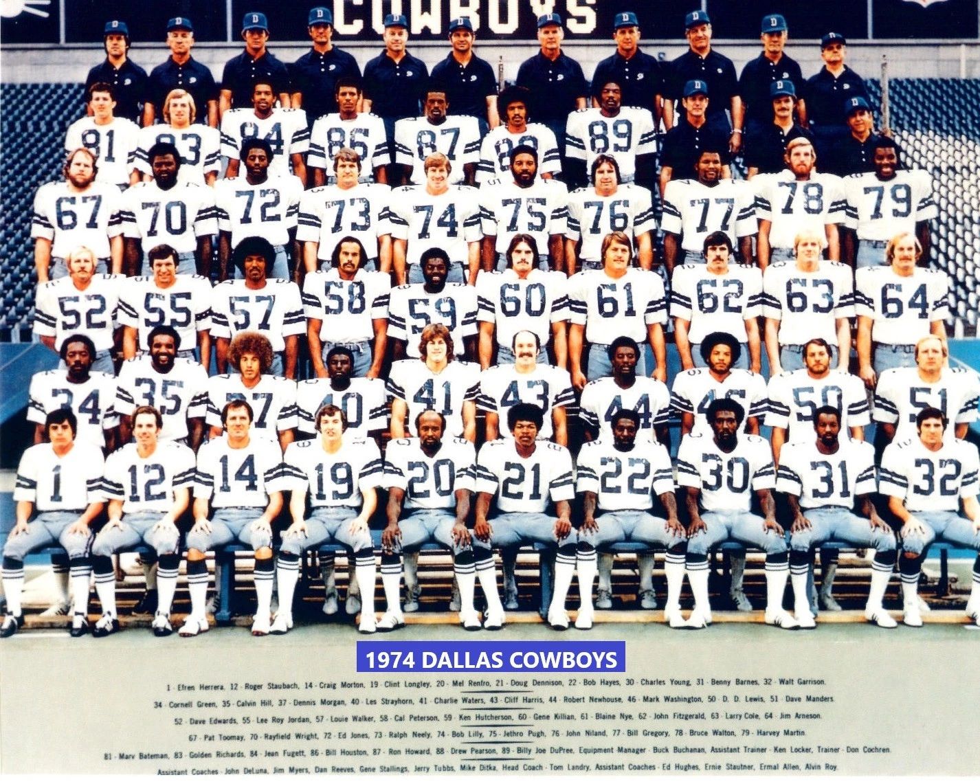 1974 Dallas Cowboys Team Photo Nfl Football Picture