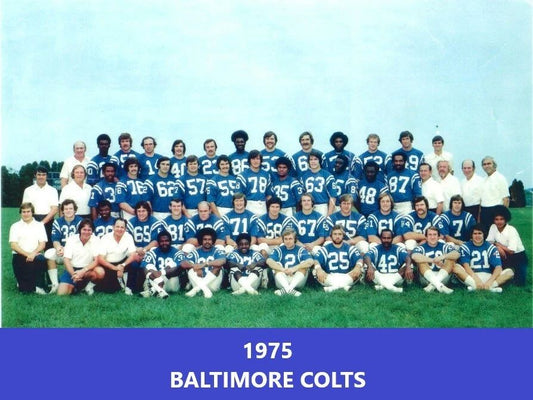 1975 Baltimore Colts Team Photo Football Picture Nfl 300 Piece Jigsaw Puzzle