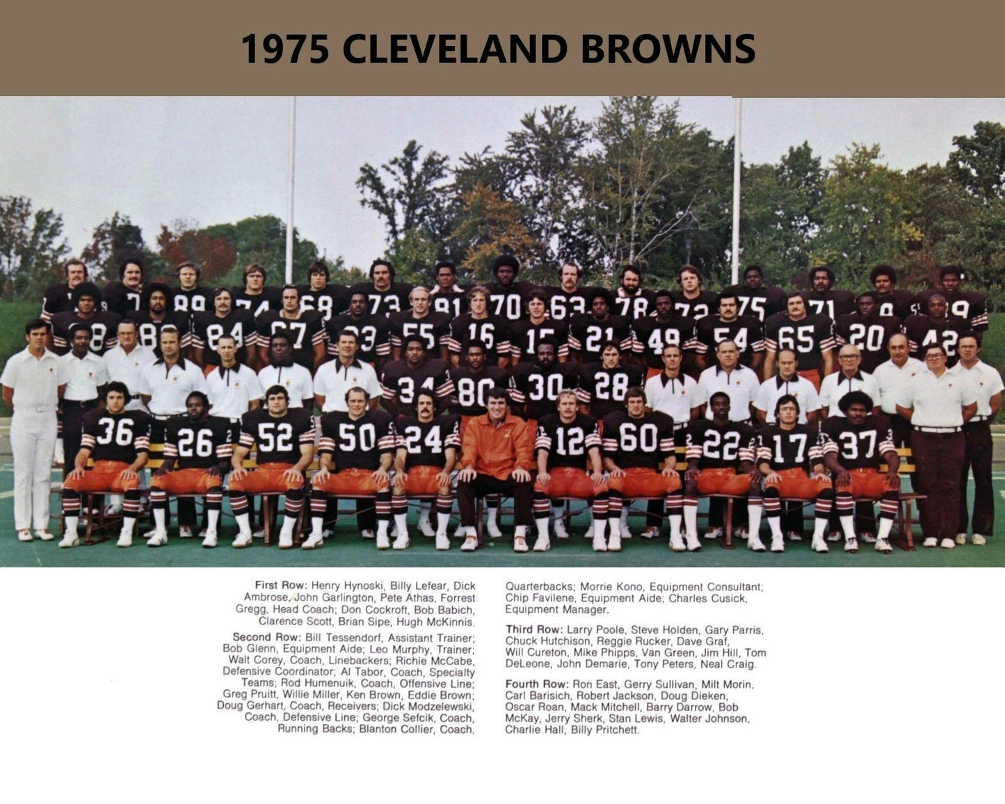 1975 Cleveland Browns Team Photo Football Picture Nfl