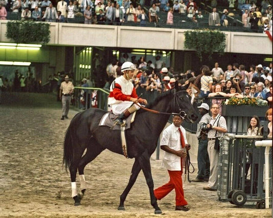 1975 Horse Racing Champion Ruffian Before Race Retro Picture Photo