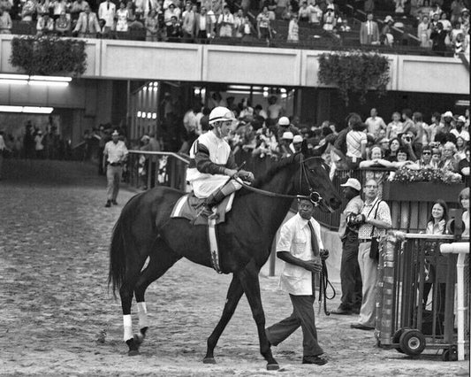 1975 Horse Racing Champion Ruffian Before Race Vintage Picture Magnet
