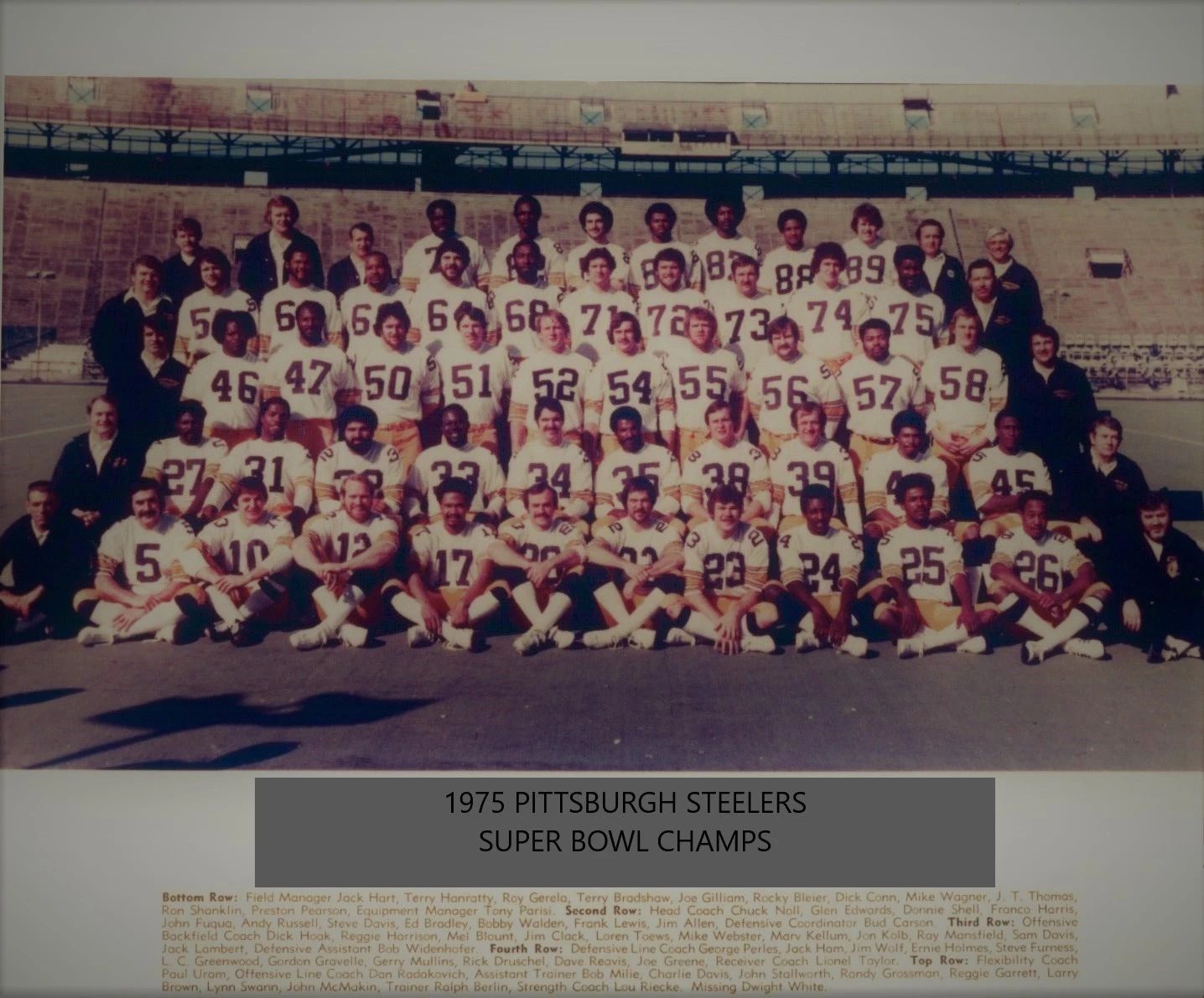 1975 Pittsburgh Steelers Team Magnet Nfl Football Picture Sb Champs