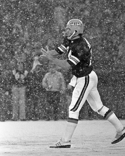 1976 Cincinnati Bengals Ken Anderson Glossy Magnet Football Print