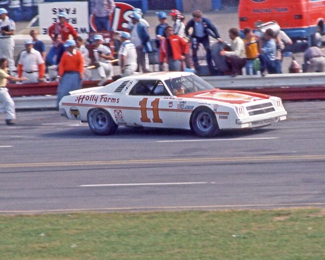 1976 Holly Farms Chevy Cale Yarborough Glossy Magnet Darlington 500 Print