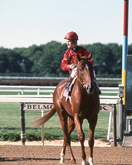 1976 Jockey Ron Turcotte Glossy Photo Print Aeronaut Poster Belmont Stakes