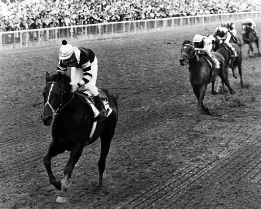 1977 Belmont Stakes Seattle Slew Glossy Magnet Jean Cruguet Magnet