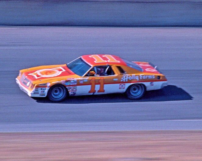 1977 Holly Farms Chevy Cale Yarborough Glossy Magnet Daytona 500 Print 1
