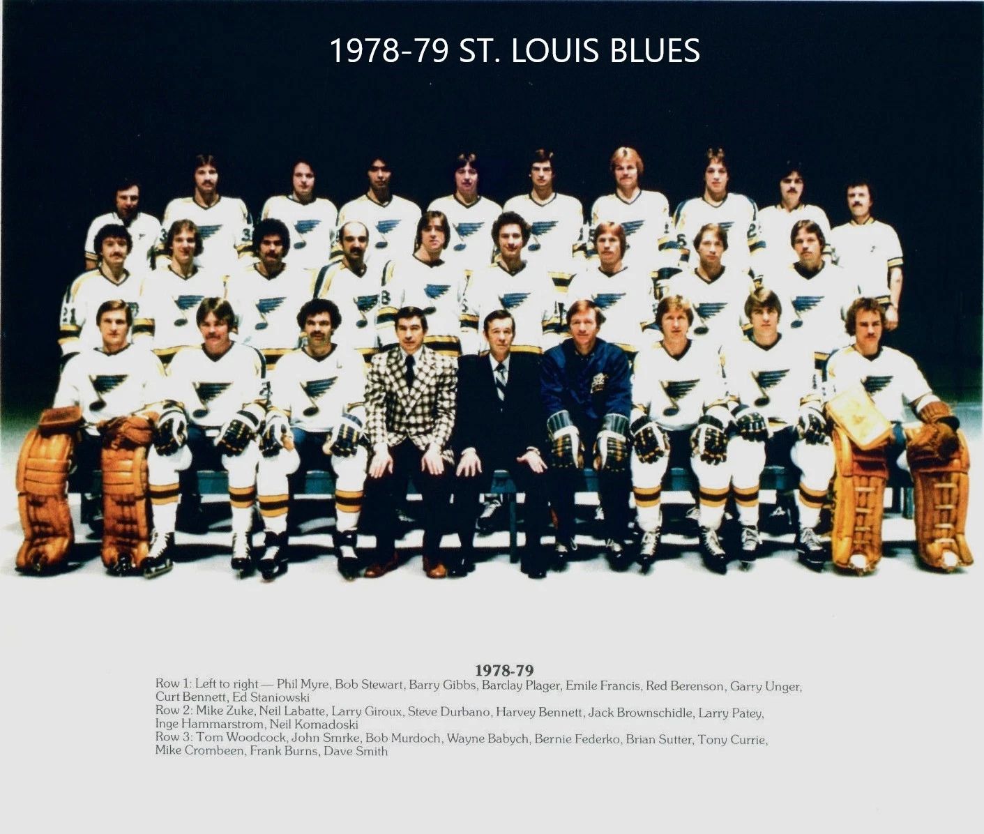 79 St. Louis Blues Team Photo Hockey Picture Nhl 300 Piece Jigsaw Puzzle