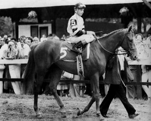1978 Affirmed Glossy Magnet Steve Cauthen Print Triple Crown Racehorse