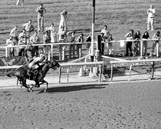 1978 Belmont Stakes Affirmed Vs Alydar Glossy Keychain Print Racehorse Keychain