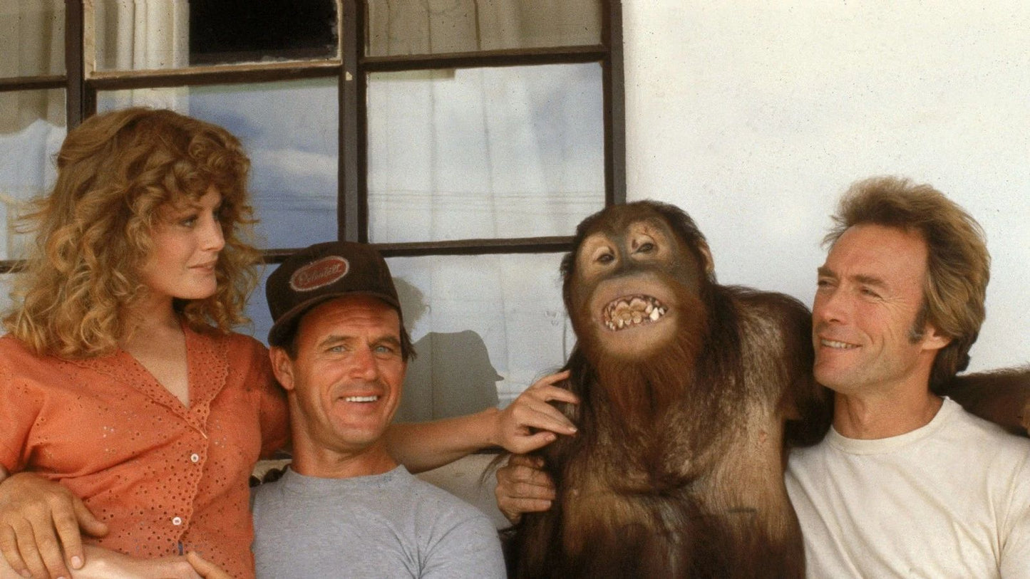 1978 Every Which Way But Loose Movie Clint Eastwood Sondra Locke 300 PCS Jigsaw