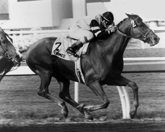 1978 Triple Crown Champion Affirmed Glossy Keychain Steve Cauthen Print Horse