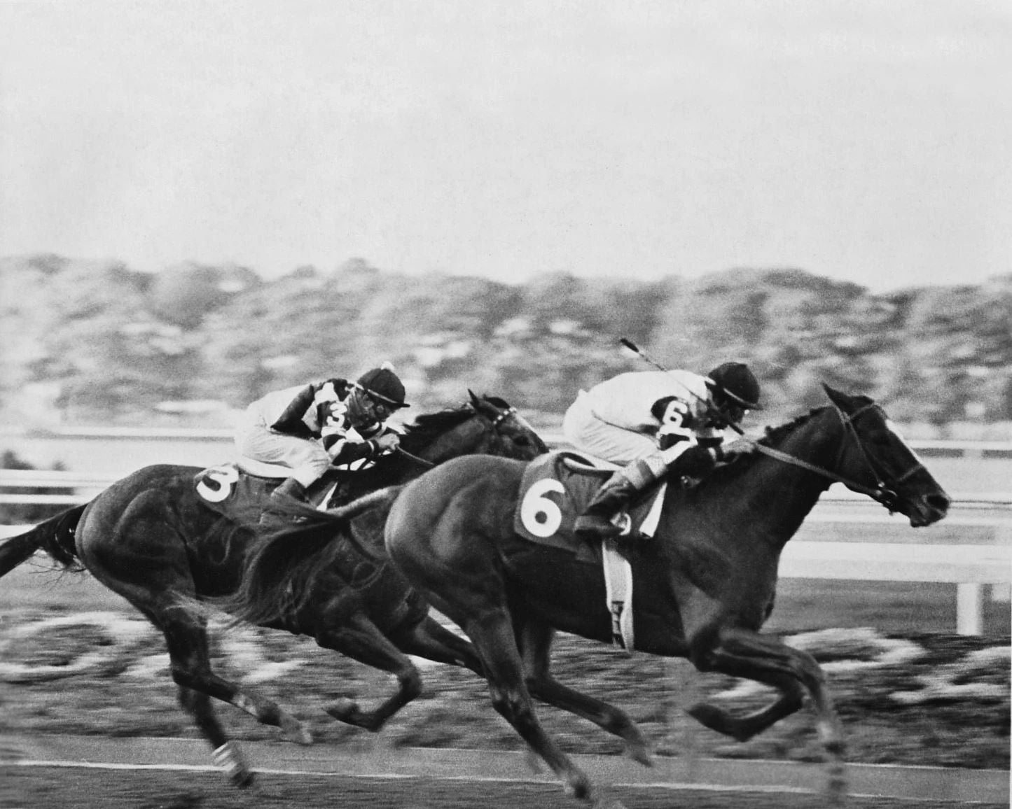 1979 Jockey Club Gold Cup Affirmed Glossy Keychain Steve Cauthen Print Horse