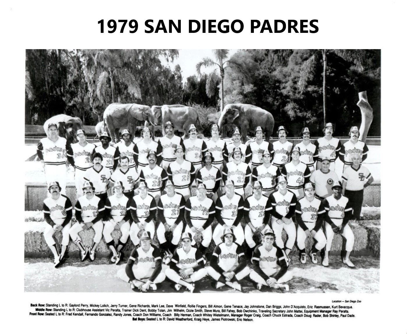 1979 San Diego Padres Team Photo Baseball Picture Mlb