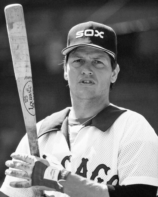 1981 Chicago White Sox Carlton Fisk Photo Baseball Print Poster Hof 2000